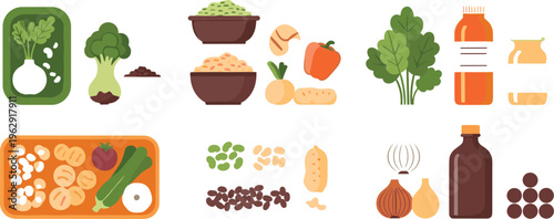 Healthy food ingredients and meal components flat vector illustration vegetables grains legumes spices and nutritious cooking elements collection