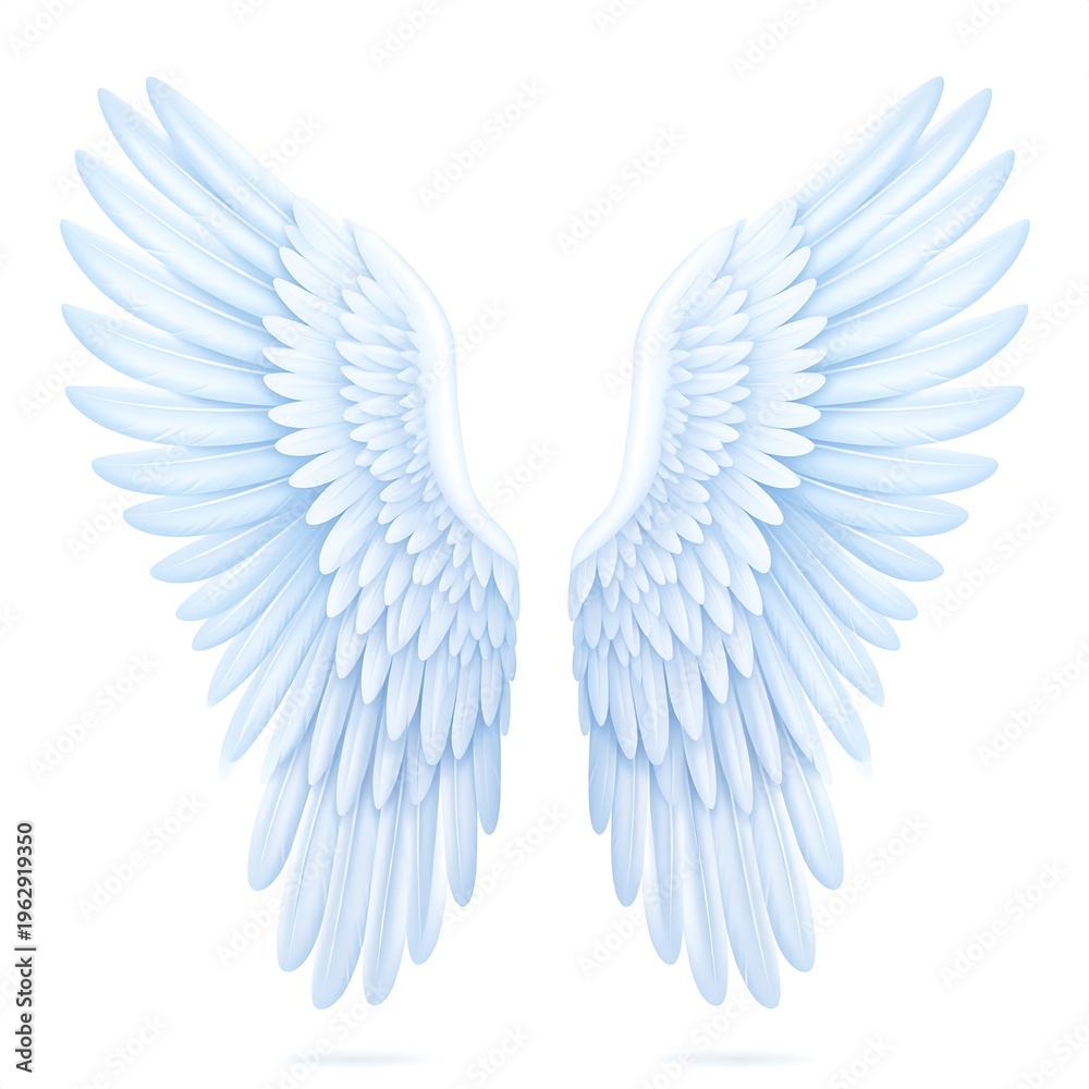 Fototapeta premium Beautiful symmetrical stylized illustration of angel wings on a white background