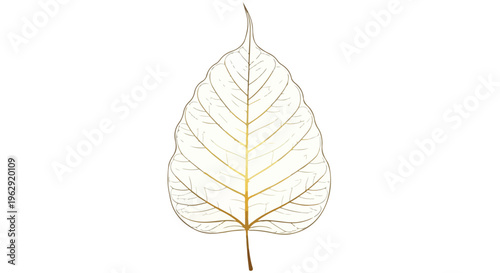 A delicate, translucent leaf skeleton with golden veins against a clean white background, symbolizing Buddha Purnima with a serene and natural feel.