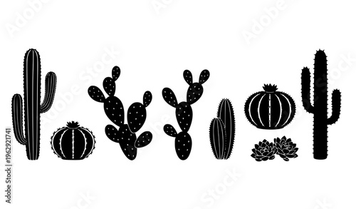 Black and white cactus and succulent silhouettes vector set minimalist desert plant collection isolated on white