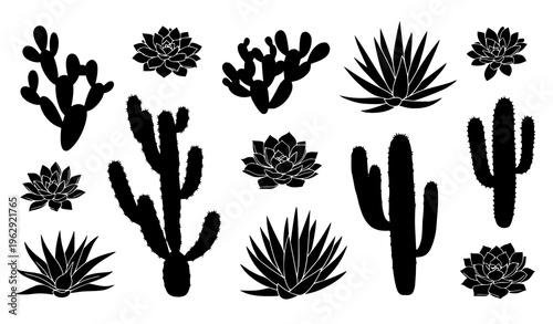 Cactus and succulent silhouette vector set black and white scattered desert plant arrangement isolated