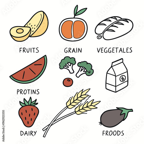 A collection of food groups