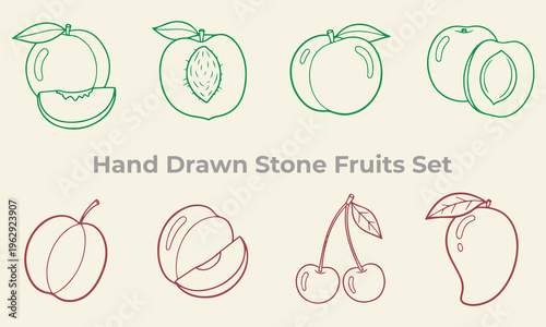 Hand drawn stone fruits set ripe juicy and delicious fruits isolated on white background excellent for culinary and healthy lifestyle content.