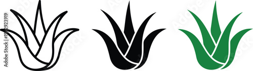 Aloe vera plant vector icon set with outline silhouette and green color versions isolated on white for skincare design