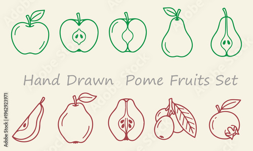 Hand drawn pome fruits set crisp sweet and healthy fruits isolated on white background perfect for food blogs and educational materials.