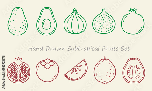 Hand drawn subtropical fruits set exotic delicious and nutritious fruits isolated on white background great for health and wellness content.