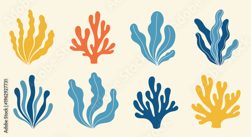 Vibrant coral reef branches in various colors and shapes