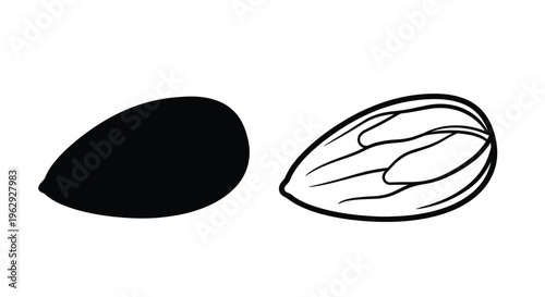 Illustration of an almond in shell and without black and white