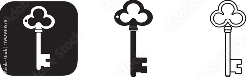 Old vintage key bold line icon vector.