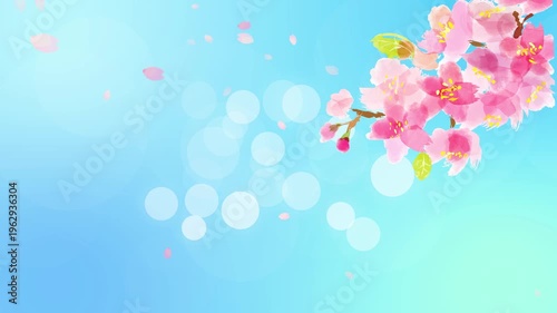 青空に揺れる水彩の桜の枝と木漏れ日ループアニメ