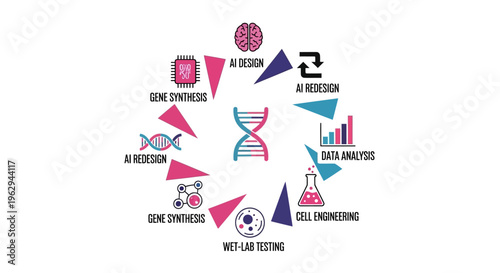 Infographic showing the cycle of AI-driven synthetic biology, gene synthesis, data analysis, and cell engineering workflow for biotechnology research