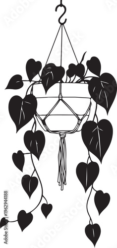 Black hanging plant with heart shaped leaves black and white