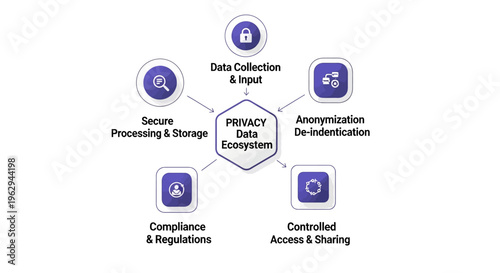 Privacy Data Ecosystem Infographic Illustrating Secure Data Collection, Anonymization, Compliance, and Controlled Access