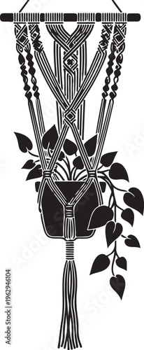 Black macrame plant hanger with leafy plant hanging plant