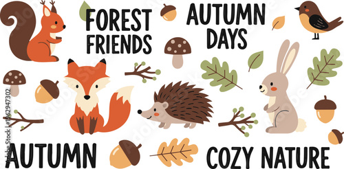 Woodland Animals Autumn Fall Forest Friends, Illustration Cartoon Collection