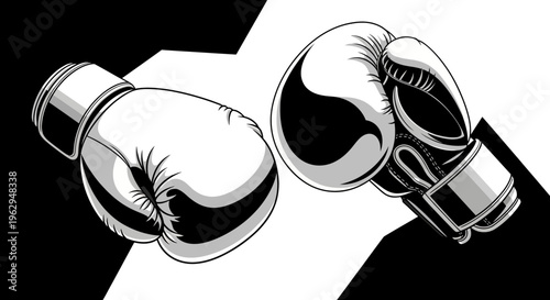 Boxing gloves in black and white.