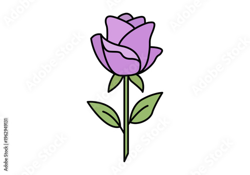 Rosa púrpura con tallo verde y hojas