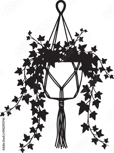 Black silhouette of ivy plant in hanging basket