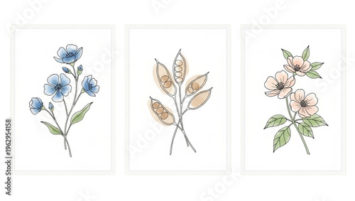 Set of minimalist botanical illustrations of flowers and seed pods in pastel colors
