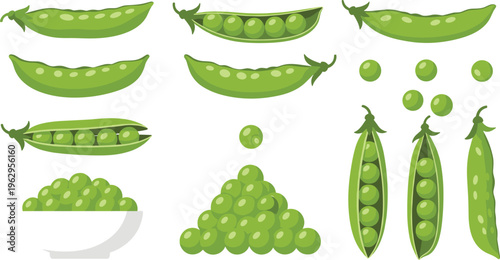 Green pea vector set. Fresh vegetable collection with pods and seeds. Flat organic food illustration for farming, cooking, grocery, and healthy diet design.