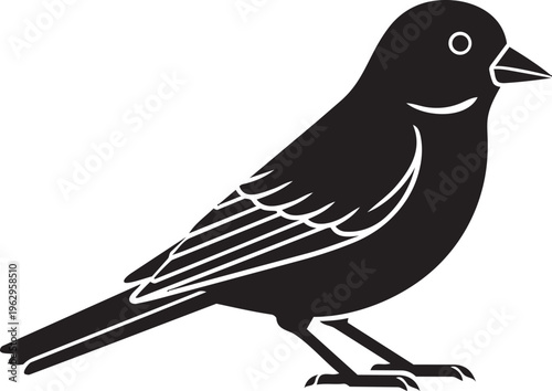  This illustration represents a Finch, a small but very popular bird known for its short, conical beak designed for cracking seeds isolated on white background