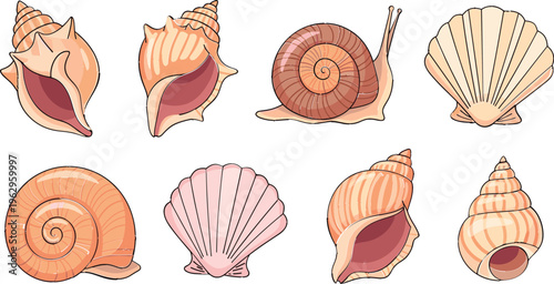 Cartoon Seashell Set Including Conch, Snail Shell, and Scallop Shell Illustrations for Beach and Ocean Designs
