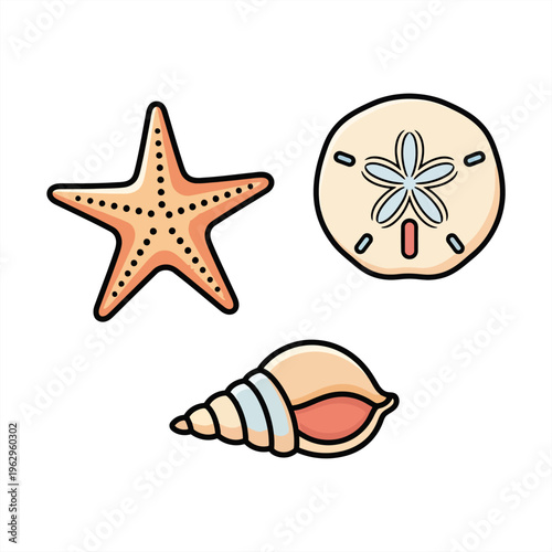 A collection of three distinct seashells, including a starfish, a spiral shell, and a sand dollar, isolated on a white background