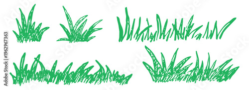 Green lawn grass with crayon, pastel or chalk texture childlike drawing. Bushes and shrubbery pencil sketched scribble foliage elements