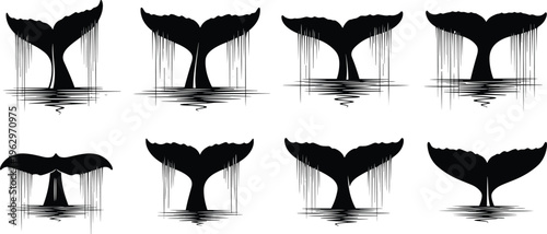 Black whale tail silhouettes set with water splashing, humpback whale flukes diving in ocean, minimalist marine animal vector icon collection