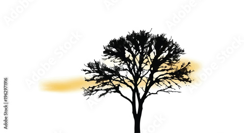 Silhouette of a dense, spreading tree stands against a bright background featuring soft, horizontal yellow-orange accents suggesting sunset or sunrise.