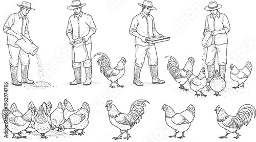 Farmer Feeding Chickens and Roosters with Detailed Illustrations of the Poultry Feeding Process in a Set