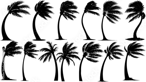 Wind-swept coastal palm tree silhouettes in bold black, featuring curved trunks and flowing fronds, perfect for beach themes, tropical designs, landscape and storms.