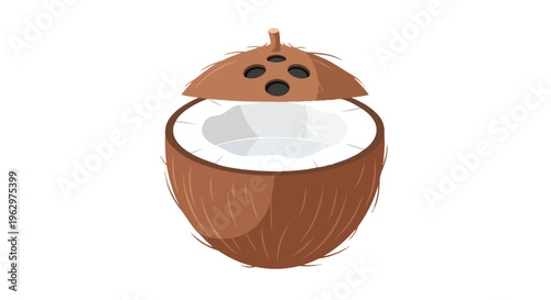 This charming graphic features a perfectly split tropical coconut, showcasing its nutritious white interior and textured brown shell, ideal for