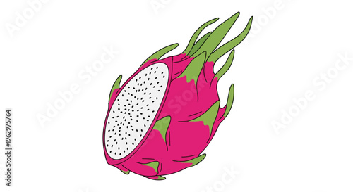 Vibrant pink dragon fruit illustration with a perfectly cut cross-section revealing its white speckled flesh and countless small black seeds a fresh