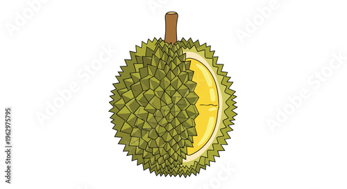 Vibrant illustration of a distinctive spiky durian fruit partially split revealing its opulent golden-yellow creamy pulp This tropical delicacy is