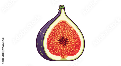 Vibrant halved fig illustration showcasing its juicy, seed-filled interior with detailed textures and rich colors, perfect for healthy eating
