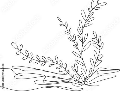Elegant continuous line art drawing of a graceful aquatic plant or seaweed, perfect for minimalist nature-inspired designs and serene underwater themes and concepts