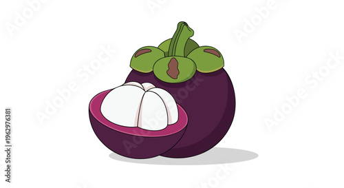 Exotic tropical mangosteen fruit illustration showcasing its vibrant purple exterior and the juicy, sweet white inner pulp on a clean background.