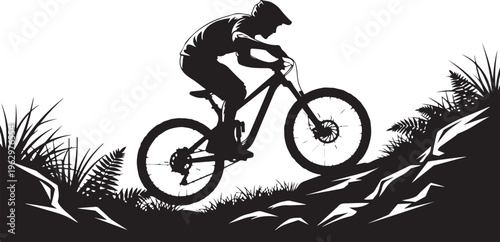 Black silhouette of mountain biker on rocky trail with grass and plants