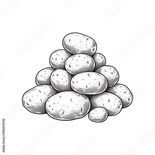 Foto Large pile of fresh raw potatoes vintage hand-drawn sketch illustration