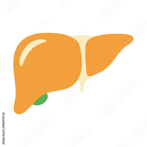 Simple Liver Icon Illustration