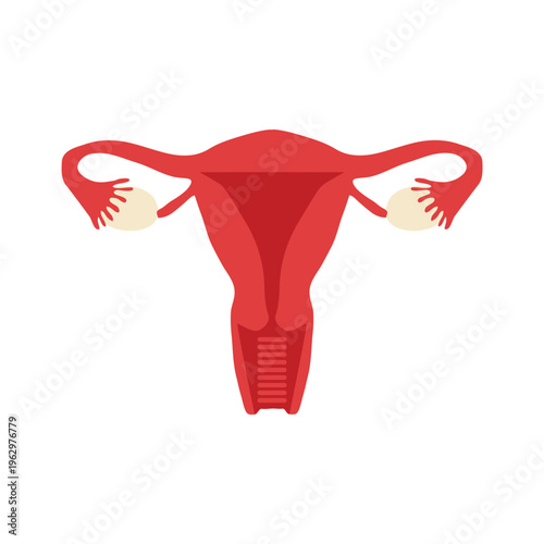 Female Reproductive System Icon