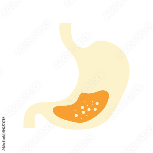 Stomach Digestion Illustration