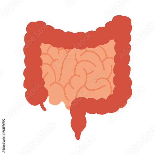 Human Digestive System Icon