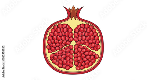 Vibrant cross-section of a fresh pomegranate displaying its juicy, ruby-red arils, a symbol of health, vitality, and natural sweetness, perfectly