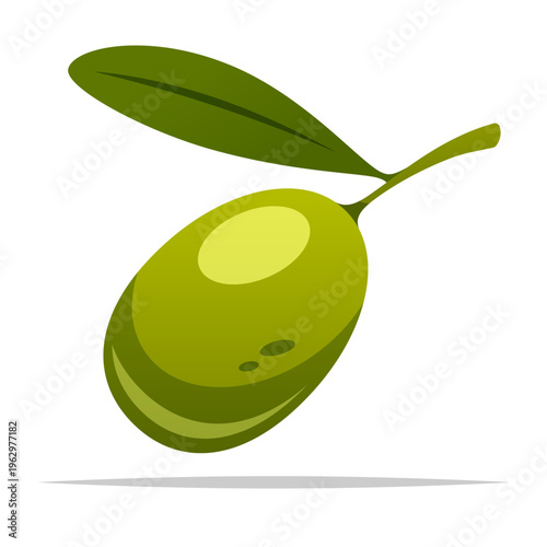 Single olive fruit vector isolated illustration