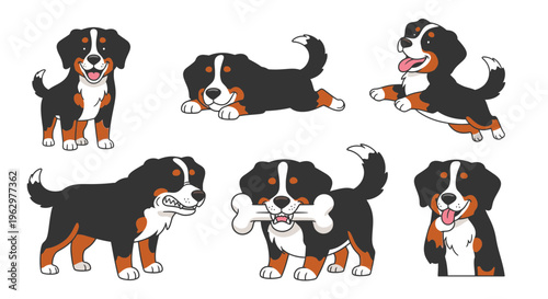 Cartoon Bernese Mountain Dog in playful poses with a bone  