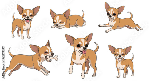 Cartoon Chihuahua dogs in playful poses on a white background  