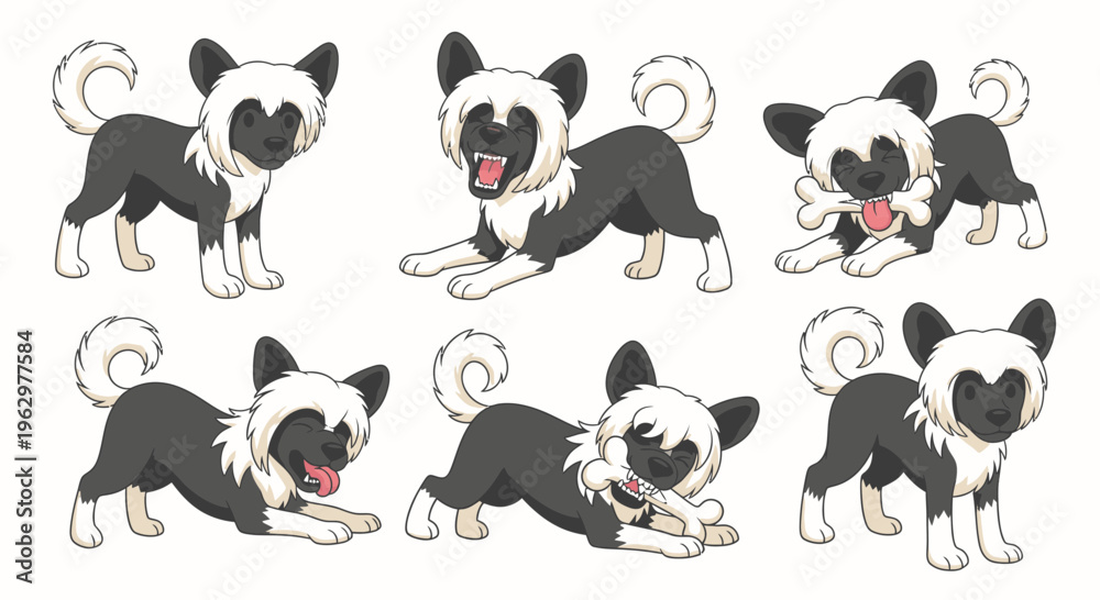 Obraz premium Cartoon Chinese Crested dog in various playful poses and expressions 