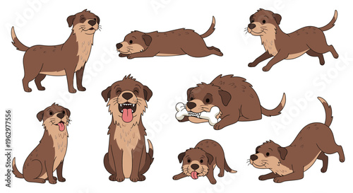 Various poses of an otterhound dog in playful and relaxed positions  